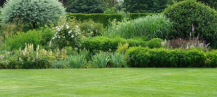 consigli-per-il-giardino
