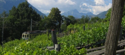 via-del-mercato-da-re-un-itinerario-tutto-da-scoprire