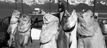 united-roads-of-america-in-alaska-dove-finisce-il-viaggio