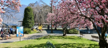 verdi-lugano-salviamo-i-giardinetti-di-besso