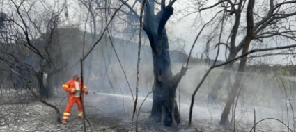 canadair-sempre-in-volo-per-spegnere-i-roghi-in-sardegna