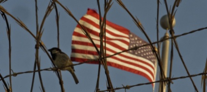 biden-riapre-le-porte-di-guantanamo-presto-via-tutti