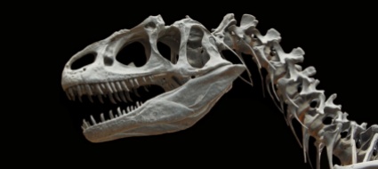 l-asteroide-dei-dinosauri-provoco-uno-tsunami-c-e-il-segno