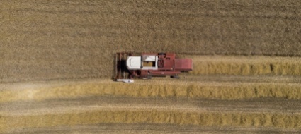 per-10mila-lavoratori-del-settore-alimentare-niente-isolamento