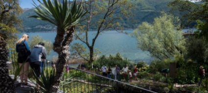 isole-di-brissago-non-e-tutto-oro-cio-che-luccica