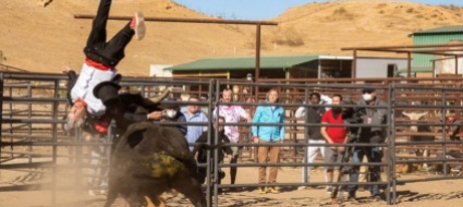 jackass-torna-per-farci-ridere-un-ultima-volta
