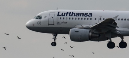 lufthansa-dice-addio-a-signore-e-signori
