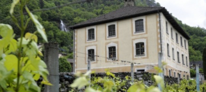 settimana-creativa-per-bambini-con-il-museo-moesano
