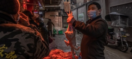 origini-covid-19-la-cina-vuole-indagini-in-piu-paesi