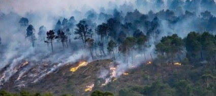 algeria-nei-roghi-sono-perite-gia-38-persone