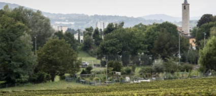 morbio-inferiore-vuole-piu-natura-nella-sua-realta-urbana