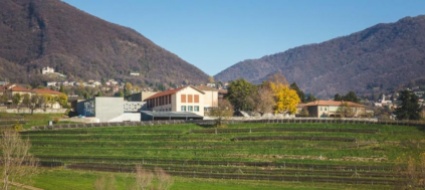 il-centro-professionale-del-verde