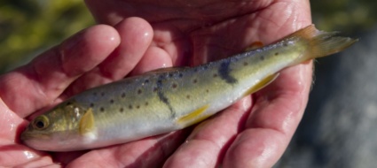sabato-28-agosto-giornata-dedicata-alla-pesca