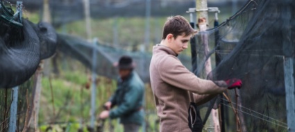 storia-di-un-apprendista-sopravvissuto-al-lockdown