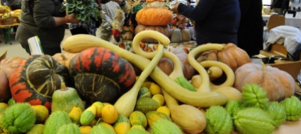 castel-san-pietro-la-sagra-della-zucca-non-ci-sara