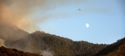 allarme-roghi-per-le-grandi-sequoie-in-california
