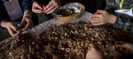 locarno-castagne-e-festa-dei-nonni