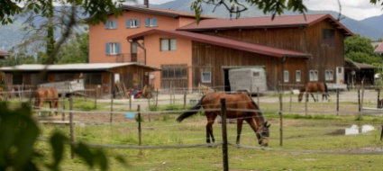 in-mezz-ai-praa-il-passato-di-stabio-in-un-video