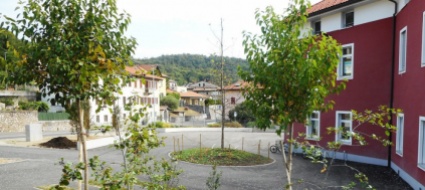 alle-elementari-di-arzo-aumentano-alberi-e-biodiversita