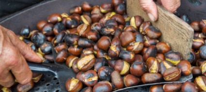 castagnata-e-tombola-con-atte-blenio-e-riviera