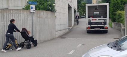 dopo-l-articolo-la-mozione-fermare-il-traffico-parassitario