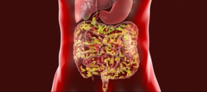 tumore-alla-prostata-terapia-piu-efficace-con-la-flora-batterica