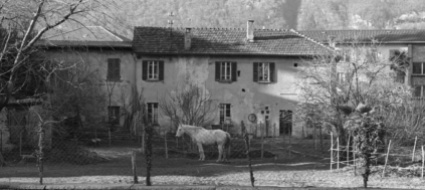 arbedo-fotografia-pacciorini-job-in-mostra