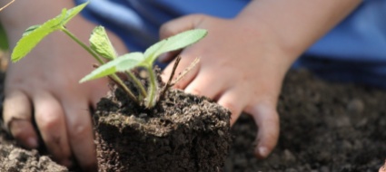 locarno-con-le-mani-nella-terra-per-la-biodiversita