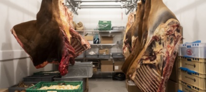 allo-zoo-di-zurigo-si-consumano-500-tonnellate-di-mangime-l-anno