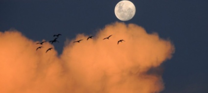 un-meteorite-ha-contribuito-a-portare-l-acqua-sulla-luna