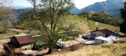 gola-di-lago-il-patriziato-mette-a-concorso-l-alpe-s-maria