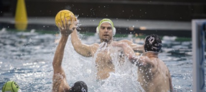 sharks-in-vasca-con-umilta-e-grinta