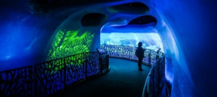oltre-dieci-milioni-di-visite-per-expo-dubai