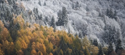 meteo-in-corso-uno-degli-inverni-piu-caldi