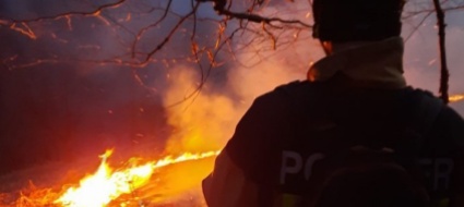 incendio-nei-boschi-di-mugena-aperta-un-inchiesta