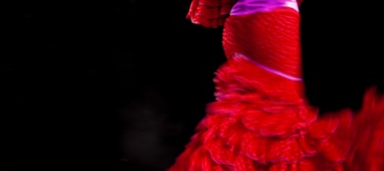 fotografo-il-flamenco-rene-robert-morto-per-il-freddo-a-parigi