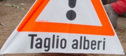 bellinzona-via-pedotti-chiusa-per-la-potatura-di-alberi
