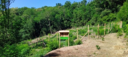 alberi-e-clima-novaggio-partecipa-a-uno-studio-nazionale