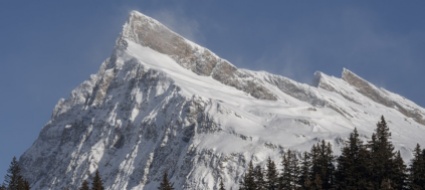 a-mesocco-la-selvaggina-potra-passare-inverni-piu-tranquilli