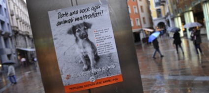 un-grande-passo-avanti-per-i-diritti-di-tutti-gli-animali