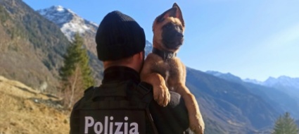 arack-un-cucciolo-di-pastore-belga-in-divisa