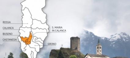 aggregazioni-nella-calanca-esterna-qualcosa-si-muove