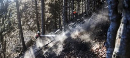 gambarogno-entro-oggi-fine-dello-spegnimento-dell-incendio