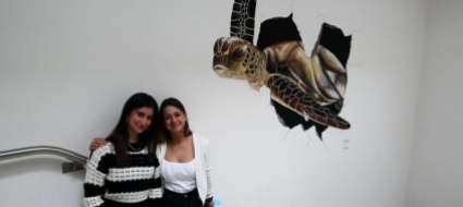 locarno-una-testuggine-spacca-una-parete-del-liceo