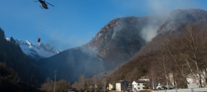 il-danno-al-bosco-sono-molti-i-fattori-che-entrano-in-gioco