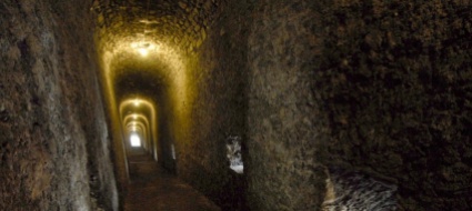 bellinzona-bisogna-contrastare-l-inquinamento-luminoso