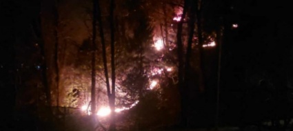 riazzino-fiamme-lungo-il-riale-sventato-pericolo