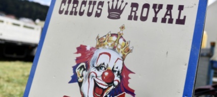 fallimento-del-circus-royal-ex-direttore-condannato