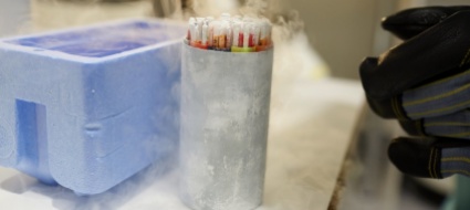 il-nazionale-per-la-legalizzazione-della-donazione-degli-ovociti