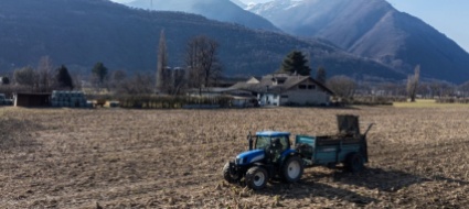 genini-siccita-se-andra-avanti-cosi-sara-veramente-dura